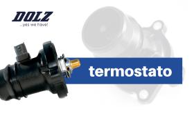 TERMOSTATOS DOLZ  DOLZ